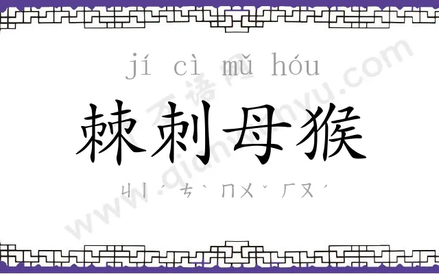 棘刺母猴