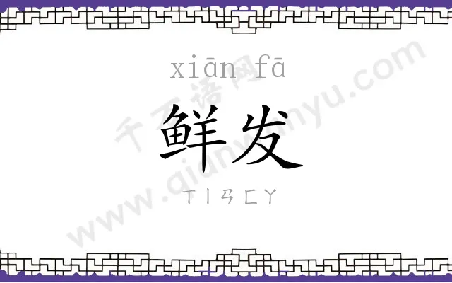鲜发