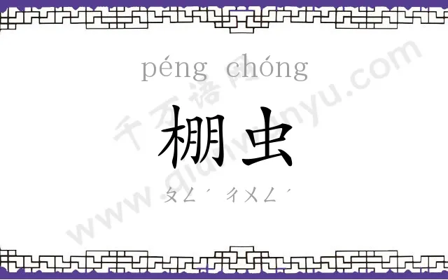 棚虫