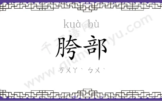 胯部