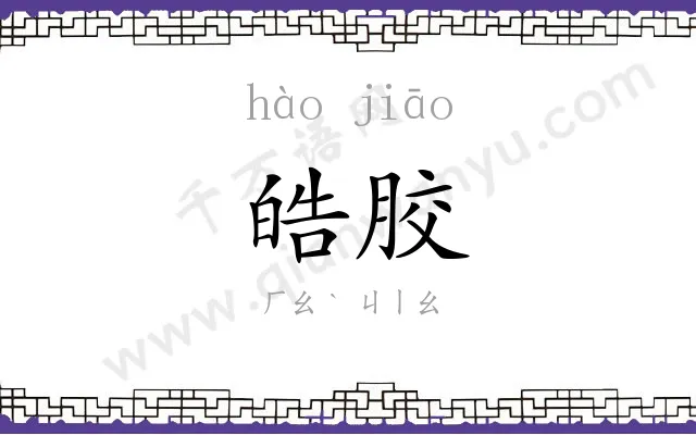 皓胶