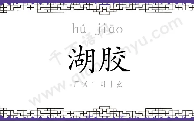 湖胶