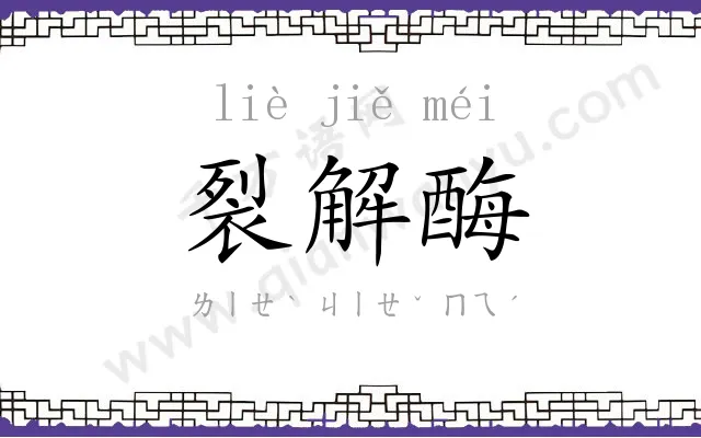 裂解酶