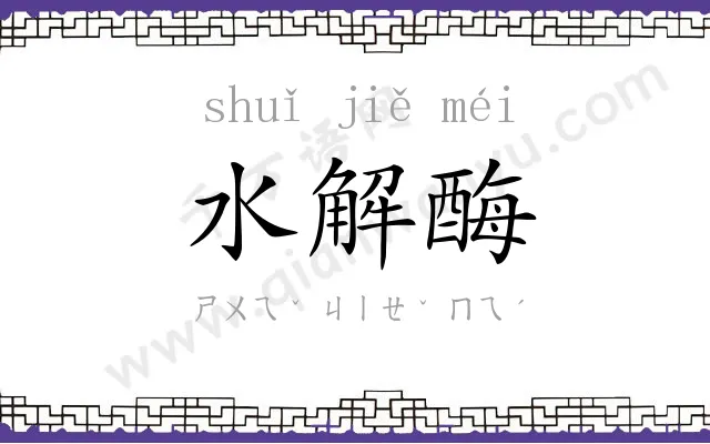 水解酶