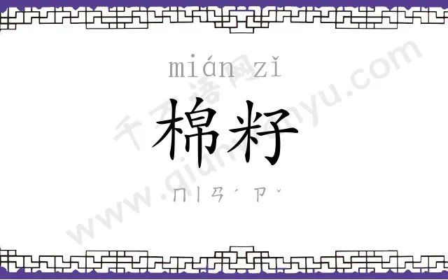 棉籽