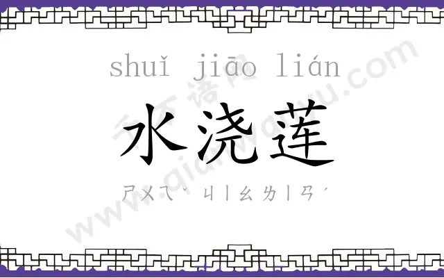 水浇莲