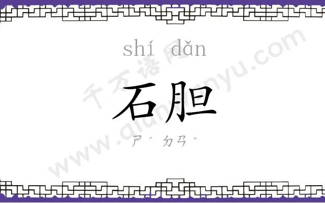 石胆