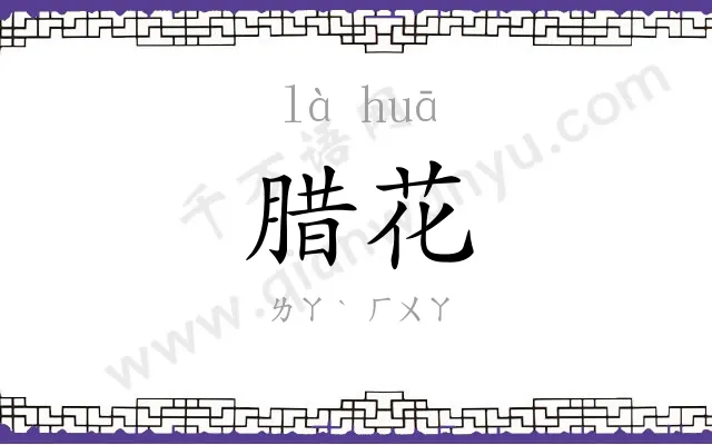 腊花