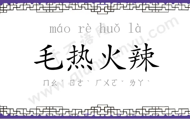 毛热火辣