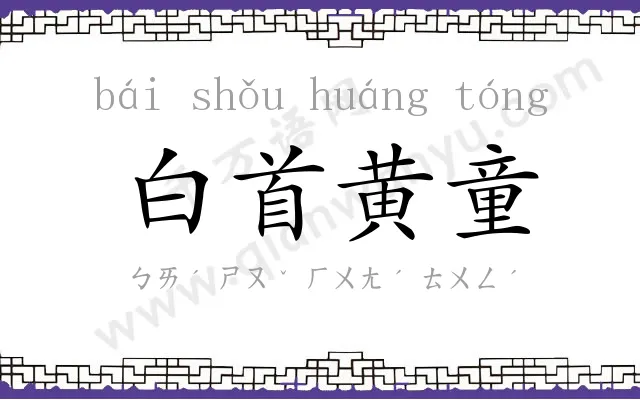 白首黄童