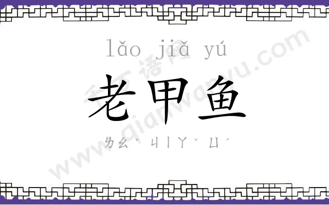 老甲鱼