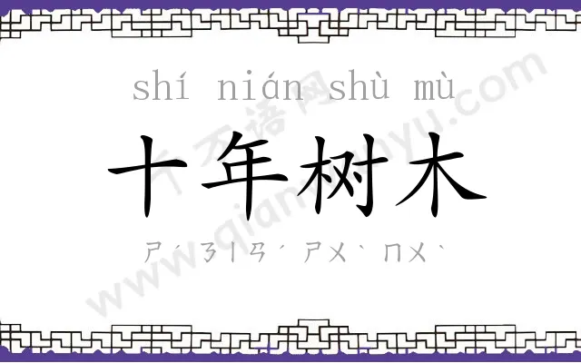 十年树木