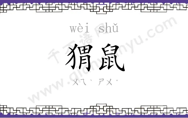 猬鼠