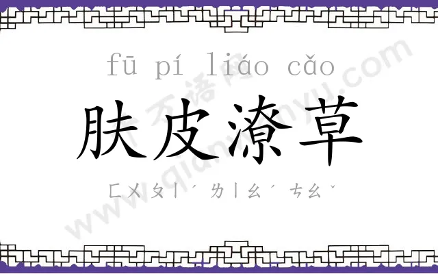 肤皮潦草