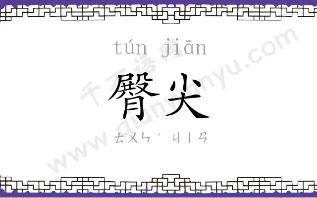 臀尖