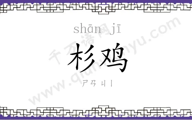 杉鸡