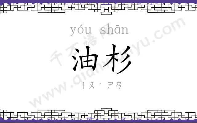 油杉