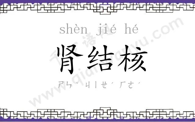 肾结核