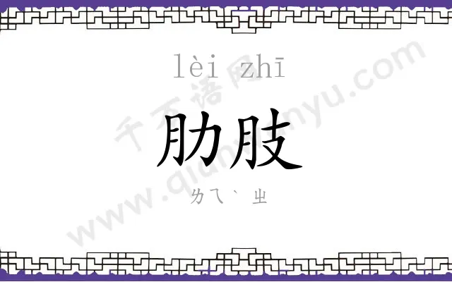 肋肢