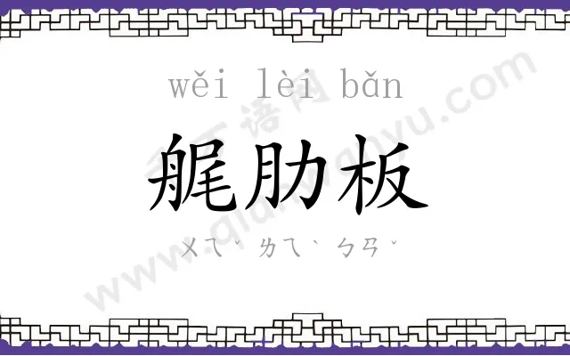 艉肋板