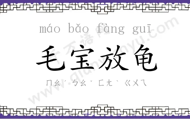 毛宝放龟