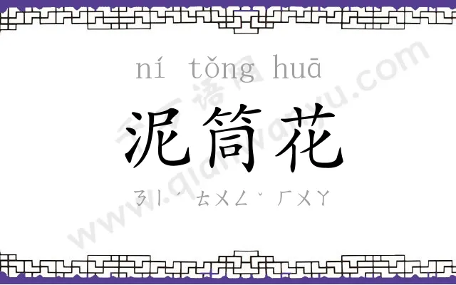 泥筒花