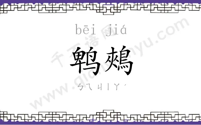 鹎鵊