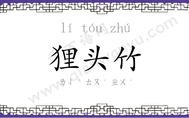 狸头竹