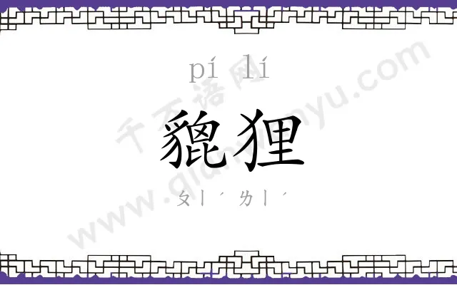 貔狸