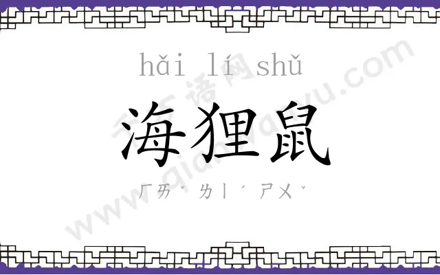 海狸鼠