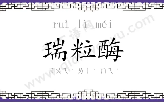 瑞粒酶