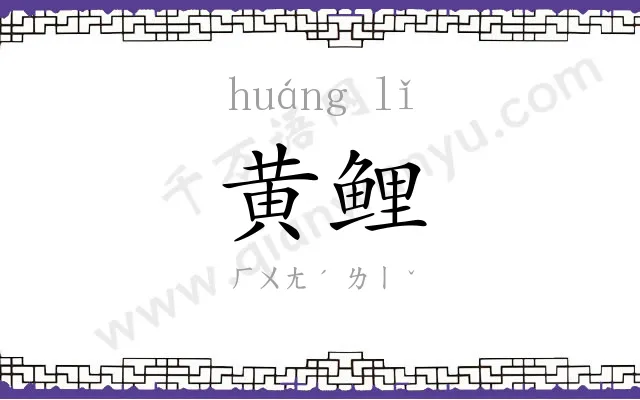 黄鲤