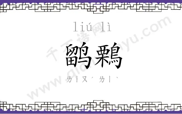 鹠鷅