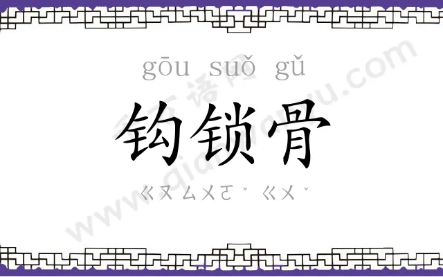 钩锁骨