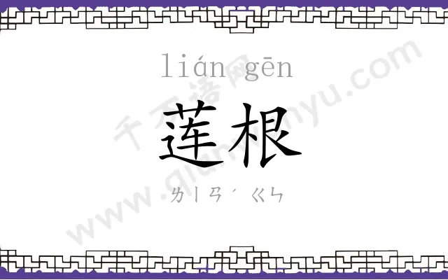 莲根