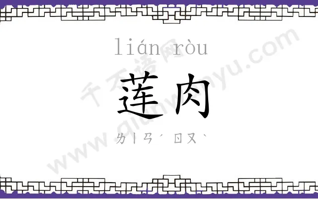 莲肉