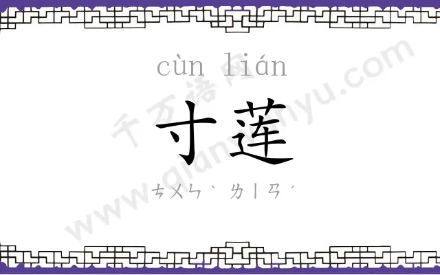 寸莲