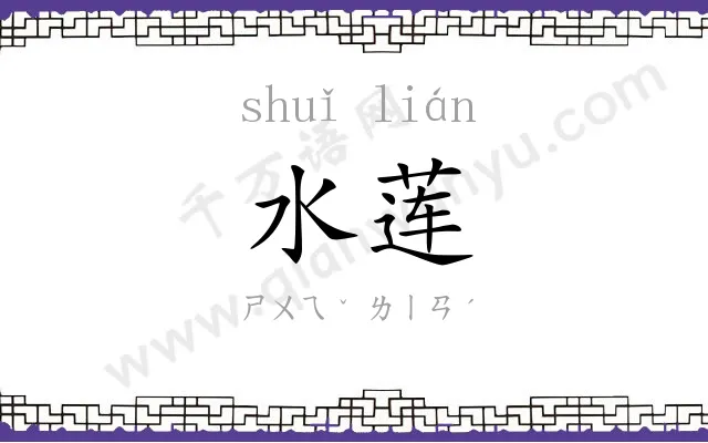 水莲