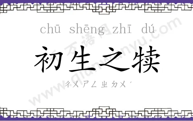 初生之犊