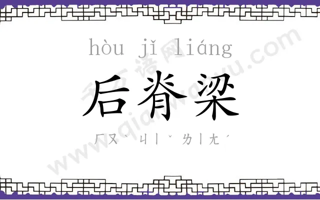 后脊梁