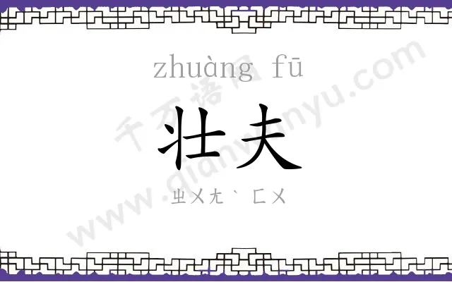 壮夫