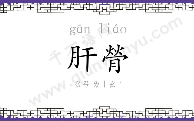 肝膋