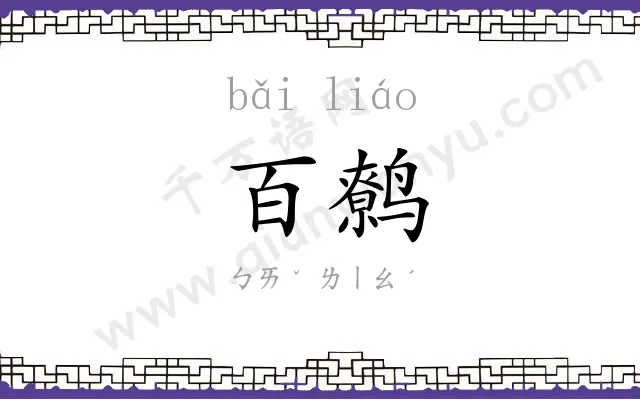 百鹩