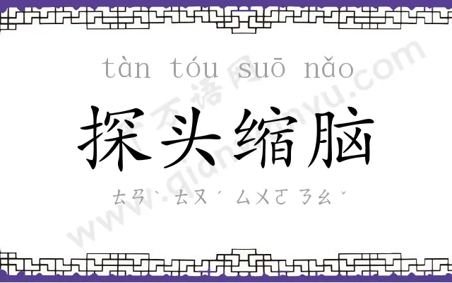 探头缩脑