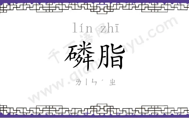 磷脂