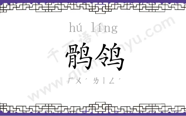 鹘鸰
