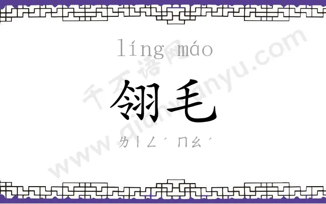 翎毛