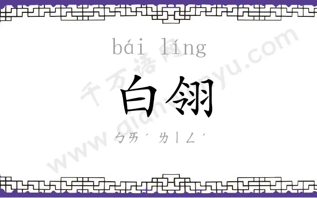 白翎