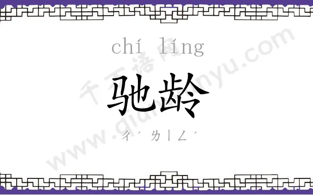 驰龄