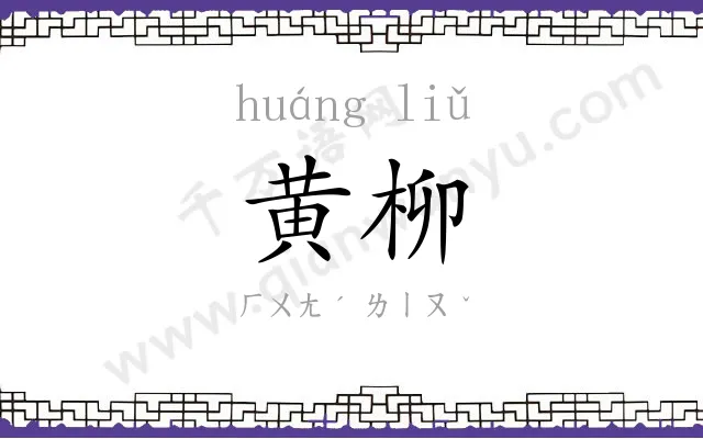 黄柳